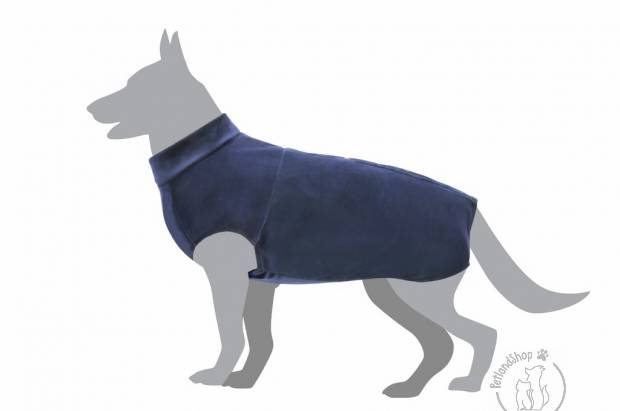 kutya, műtét, utáni, ruha