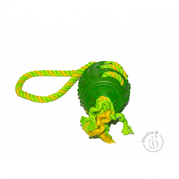 kutya, köteles, labda, játék, zöld