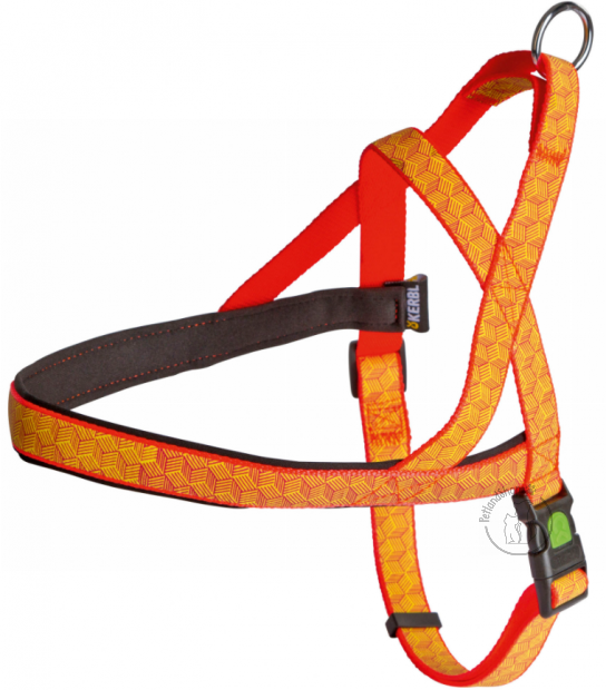 kutya, fényvisszaverő, narancs, hám