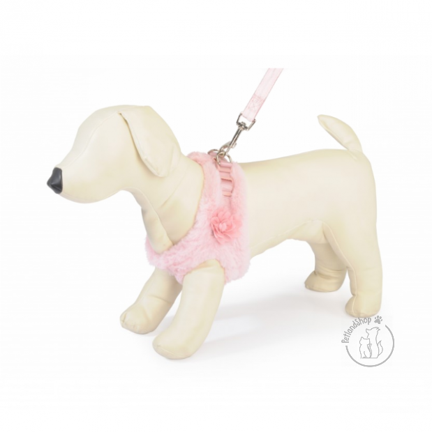 kutya, kutyahám, tollas, rózsaszín