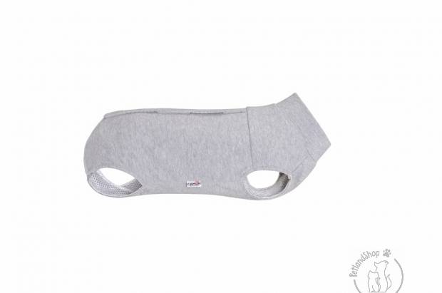 kutya, műtét, utáni, kutyaruha