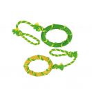 kutya, köteles, gyűrűs, játék, sárga, zöld