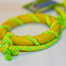 kutya, köteles, gyűrűs, játék, sárga