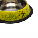 kutya, macska, sárga, etető, itató, tál